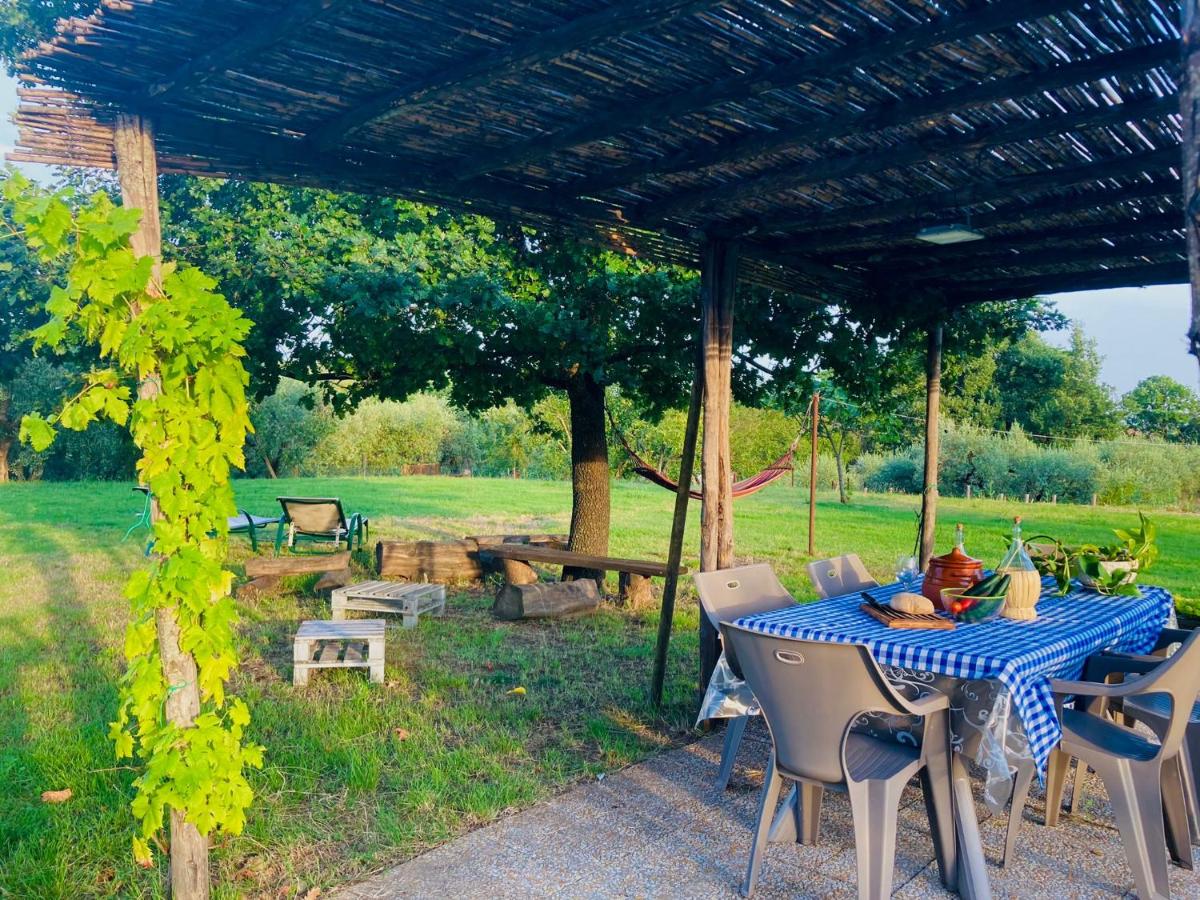 La Casa Nell'Aia - Ferienwohnung Monsummano Terme
