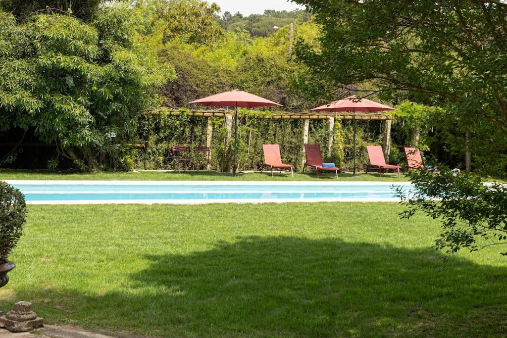 Casa da Ribeira - B&B