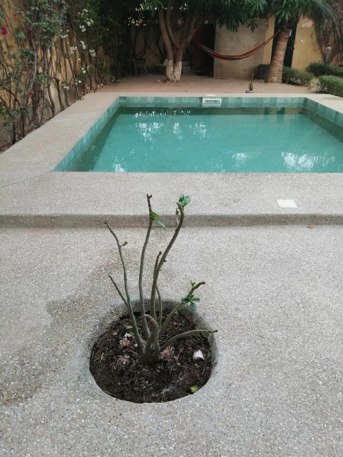 Chez sandrine - Bed and Breakfast Warang