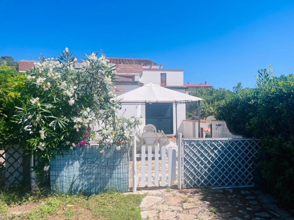 Giglio D'Oro - Elba Affitti - B&B Portoferraio