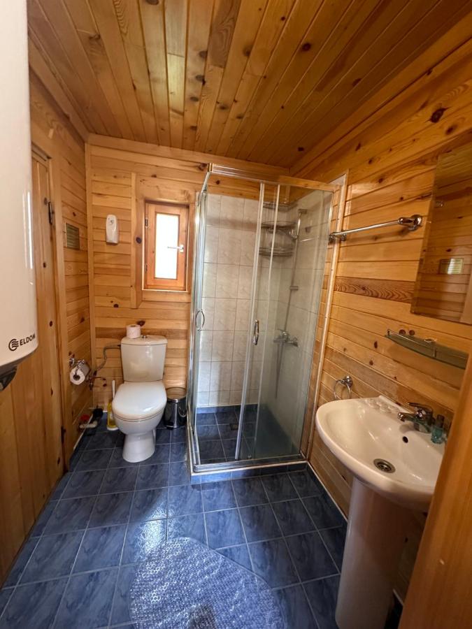 Alpine ski chalet Borovets with sauna - B&B Borovets