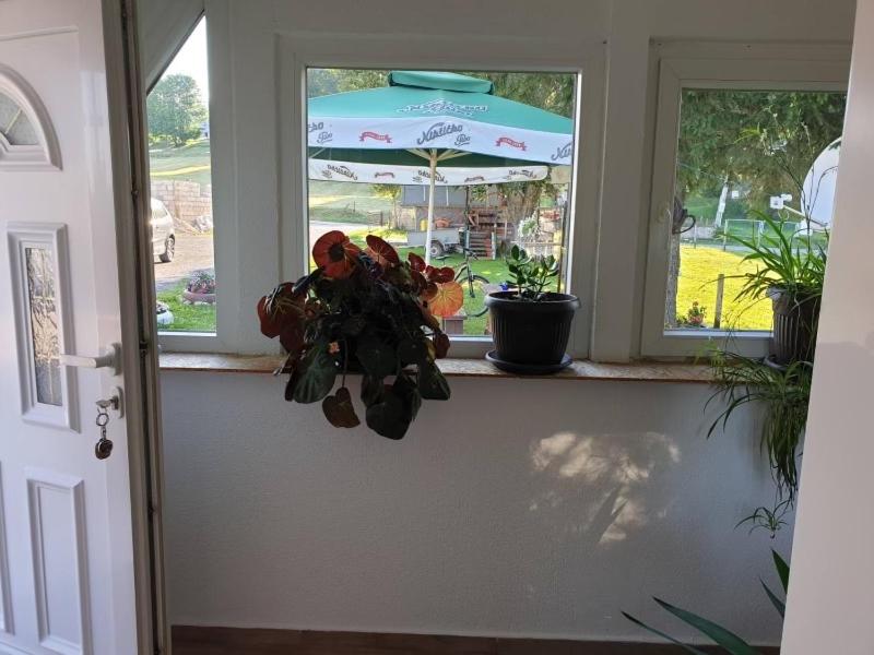 The Secret Garden Retreat - B&B Žabljak