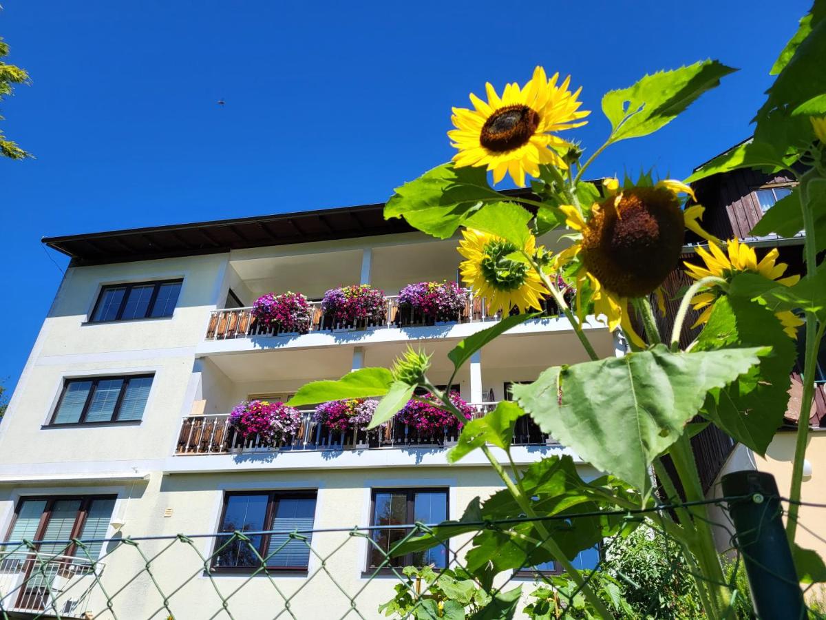 Gästehaus Herma - B&B