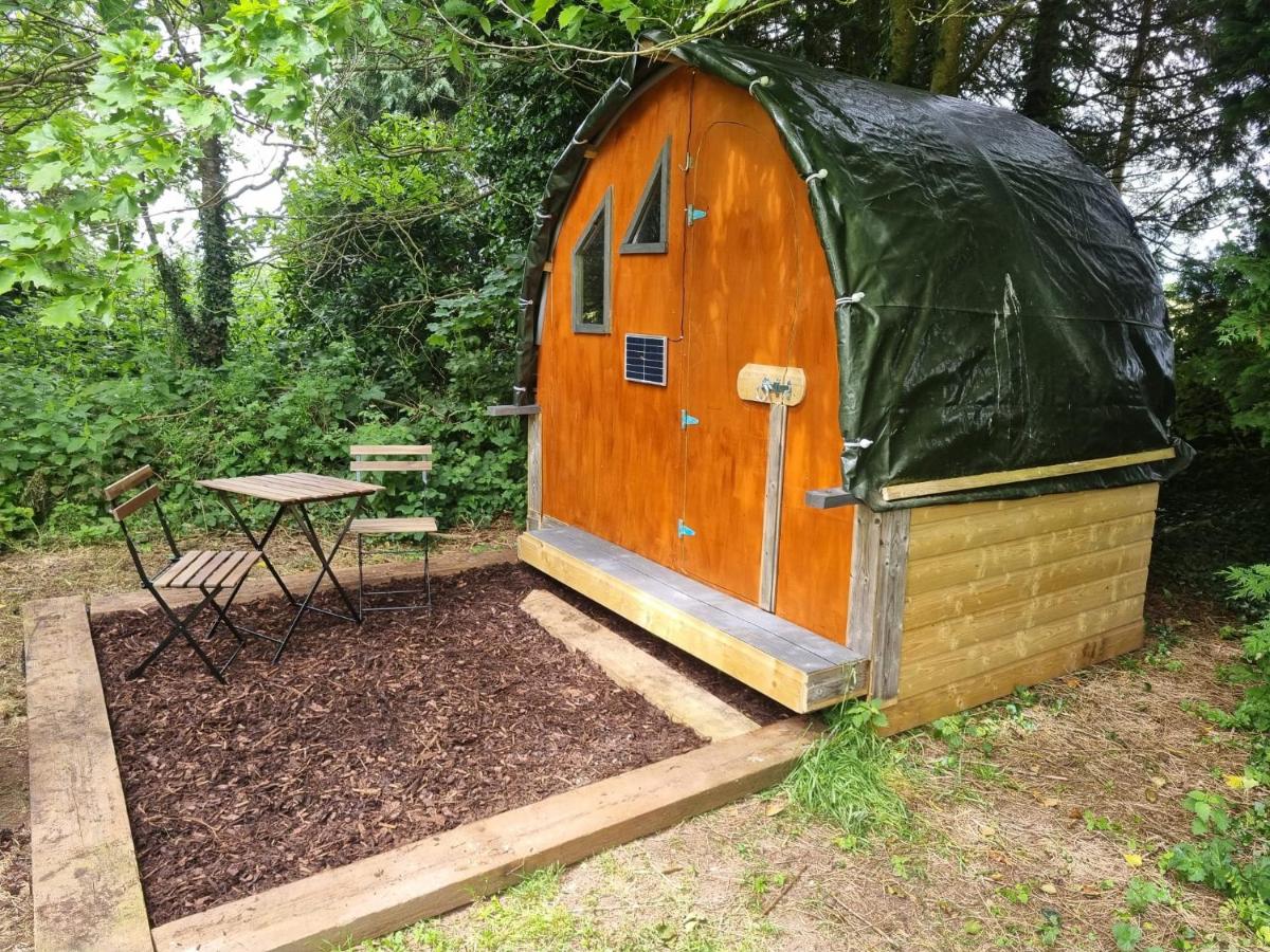 The Cozy - Ferienwohnung