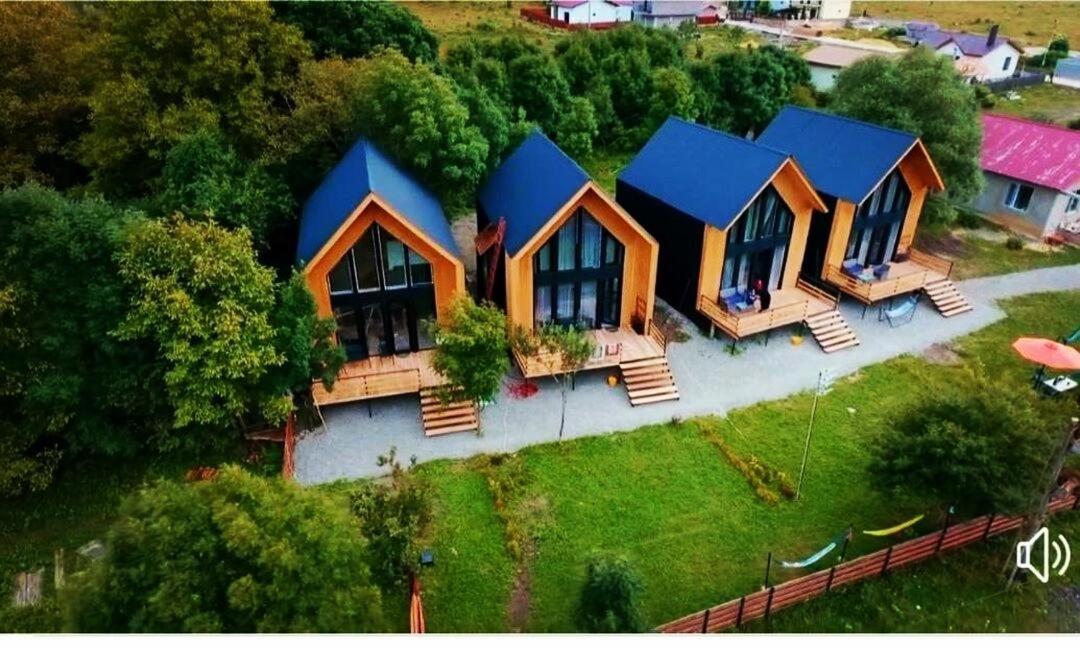 4 Chalet near Borjomi - B&B Bordshomi