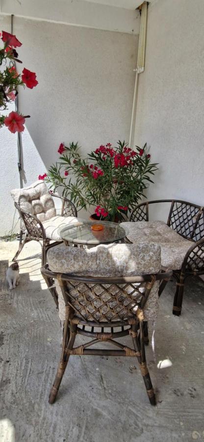 Alex și Maria - Bed and Breakfast 2 Mai