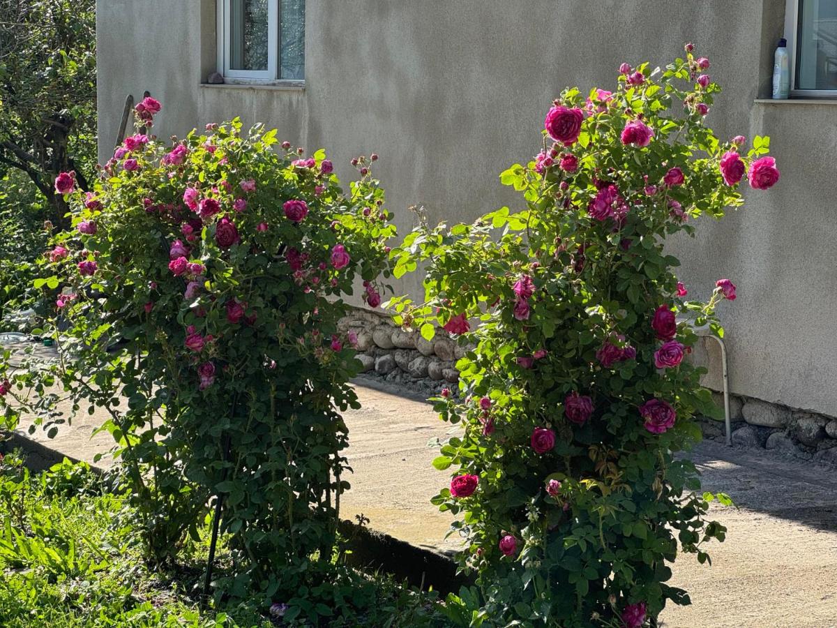Baqari Inn - Bed and Breakfast