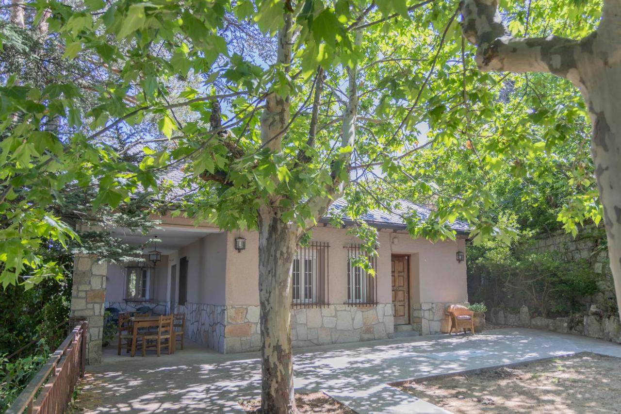 Natura Coliving Miraflores - Chambres d’hôtes