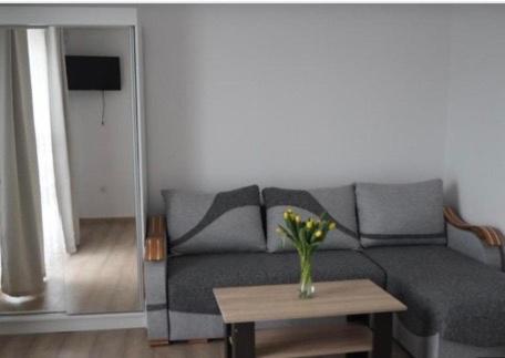 Deluxe One-Bedroom Apartment with Garden View
