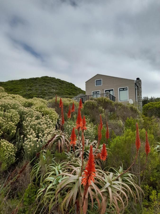Peaceful Seaside Cottage, Betty's Bay Accommodation - B&B