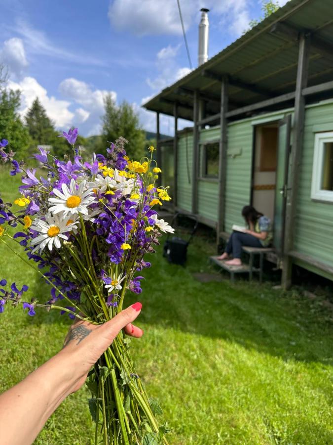 Nádherné místo pro váš relax v přírodě - Bed and Breakfast