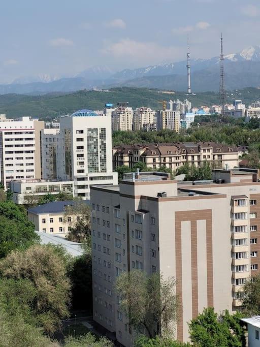 Комфортная квартира в центре Алматы! 78 - B&B Almaty