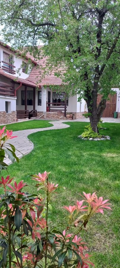 Pensiunea Morii - B&B