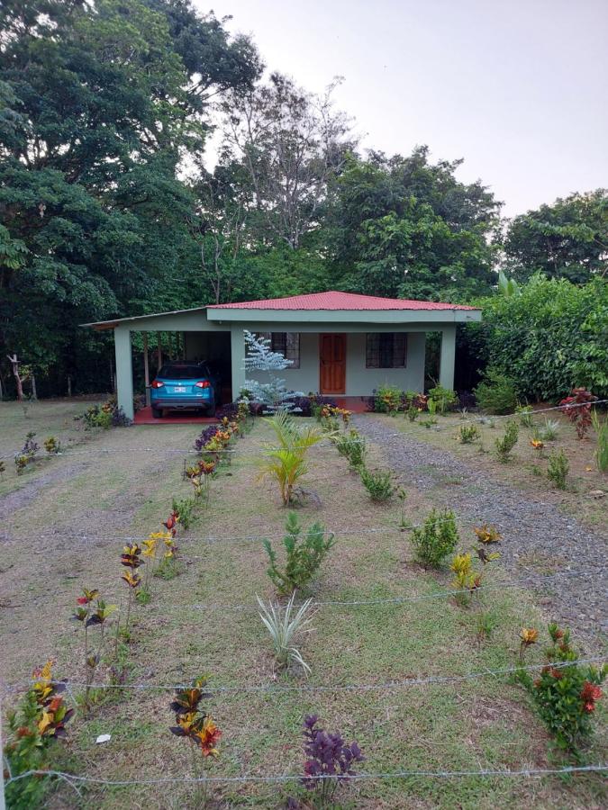 Cabaña El Guayacán Real - B&B
