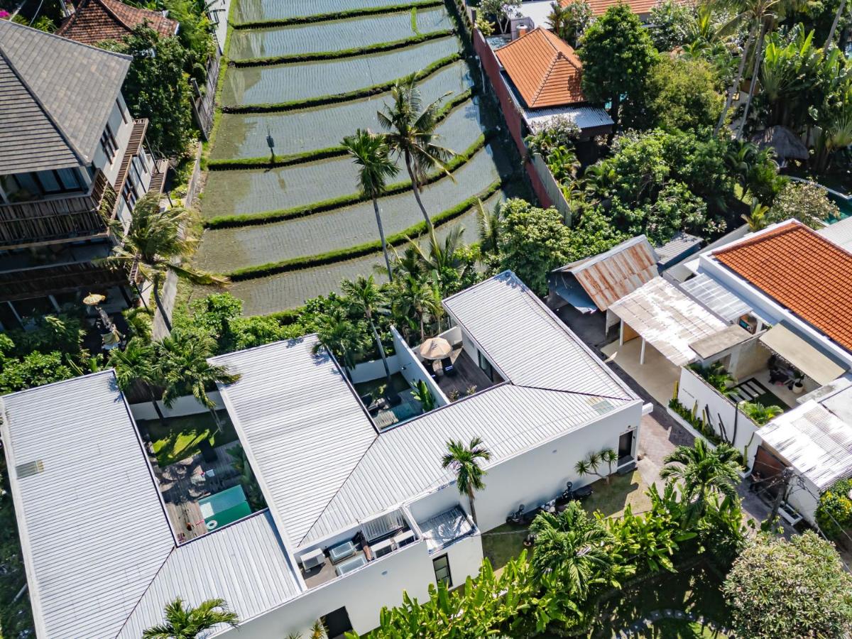 Secluded 1BR Pool Villa with Ricefield View in Berawa, 5mins Ride to Beach - B&B Canggu