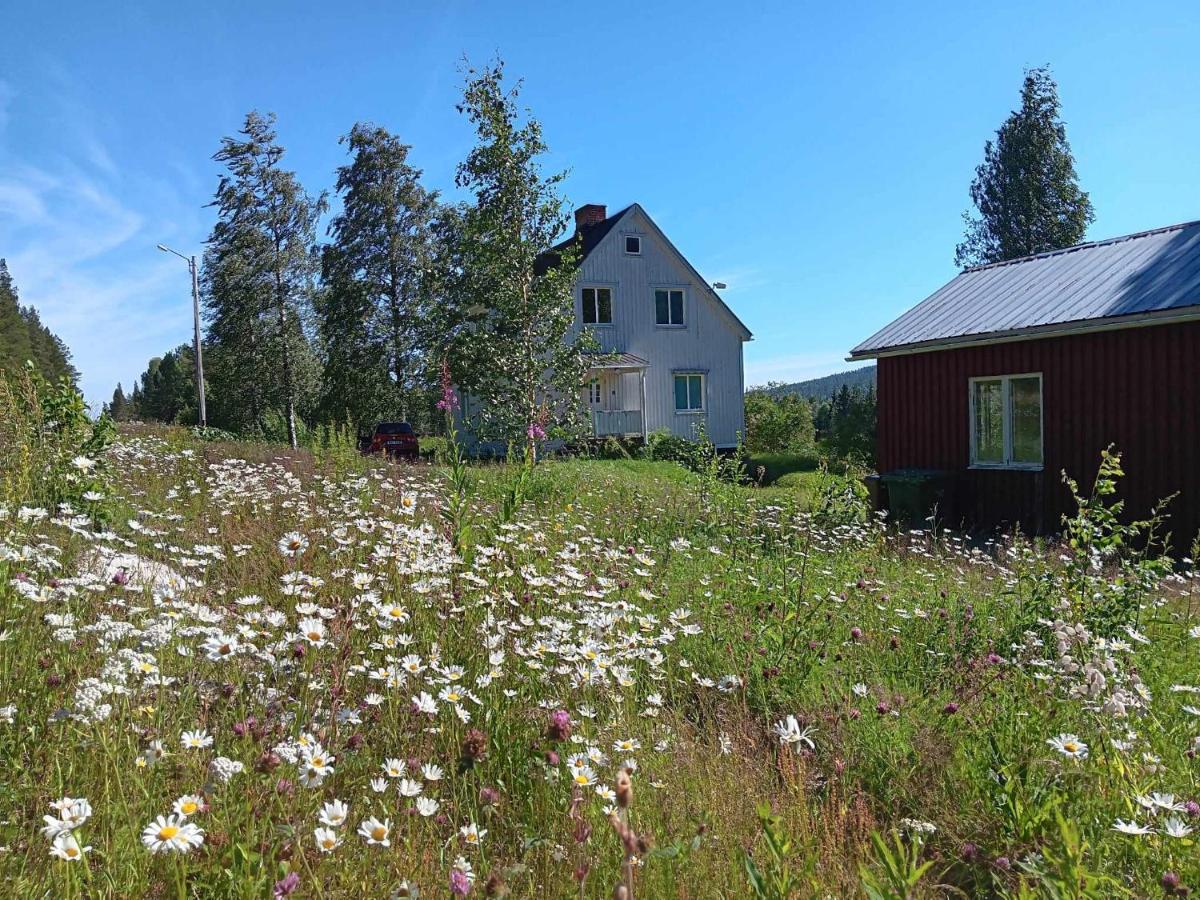 House in the middle of forests and lakes - B&B