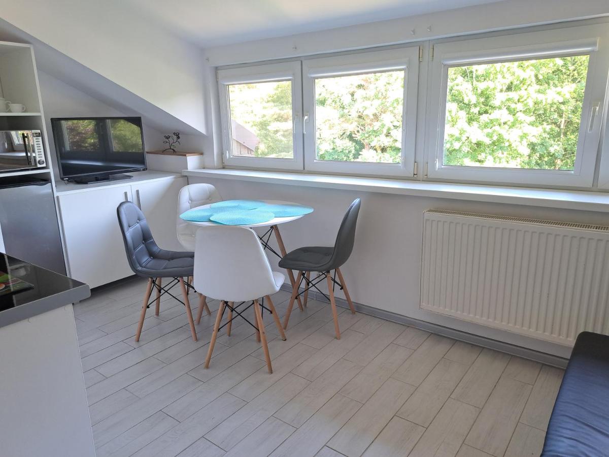 Apartment mit 1 Schlafzimmer