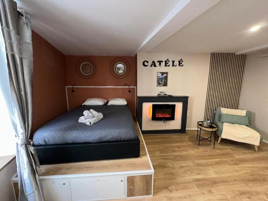LE CATELE - Studio RIOM - 3 pers - Vulcania - Puy de Dôme - Proche Clermont Ferrand - B&B