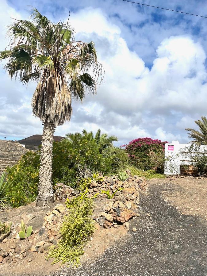 Casa MaVi - Vineyard with heated pool - B&B La Vegueta