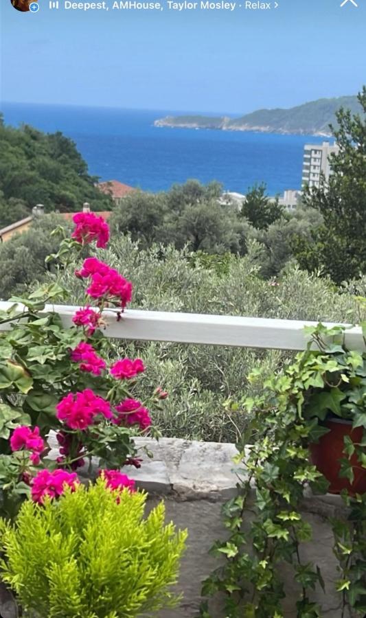 Appartamento con 1 Camera da Letto e Terrazza