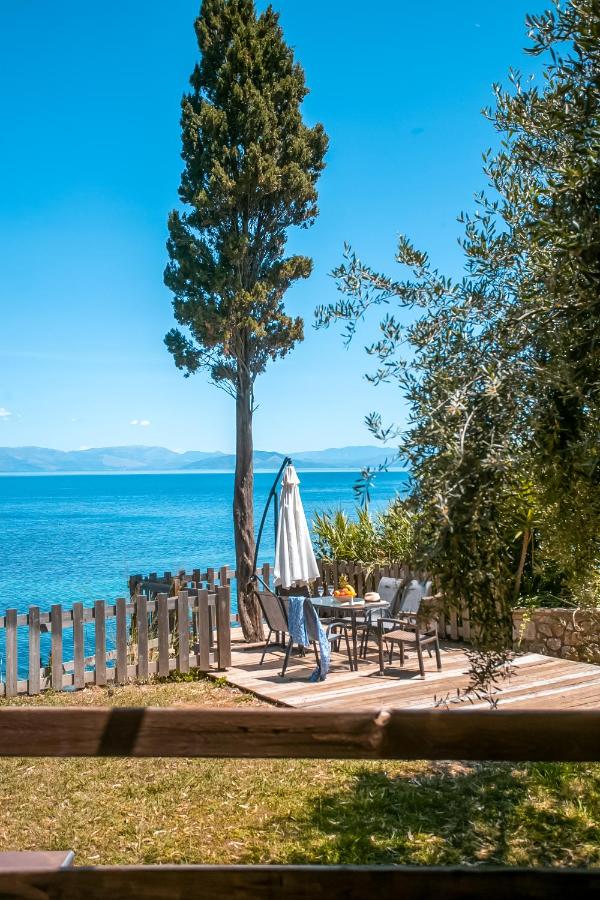Olea mare - B&B Benítses