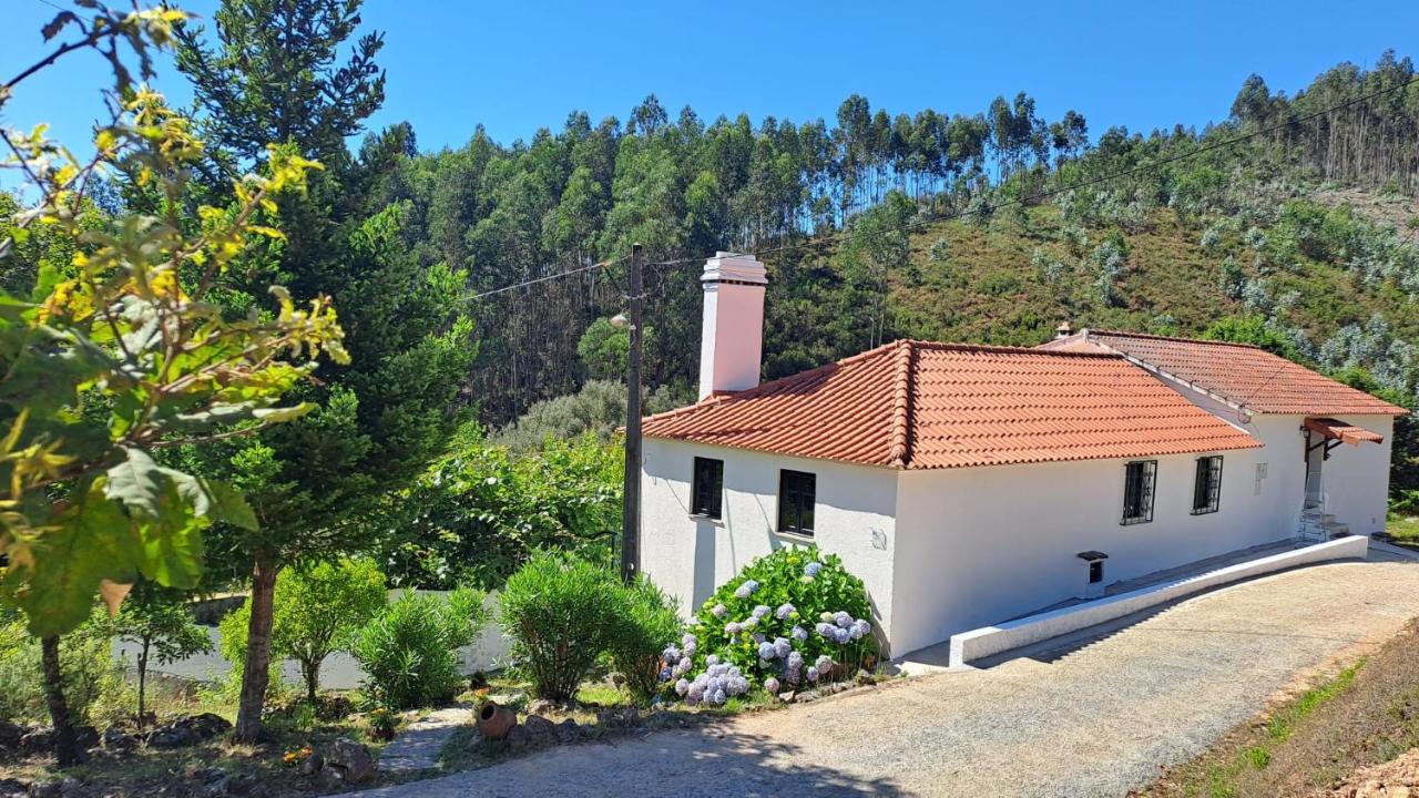 Casa da Milharica - B&B Figueiró dos Vinhos