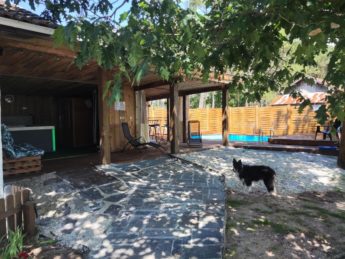 Les Sables Blancs - Bed and Breakfast Saint-Julien-en-Born