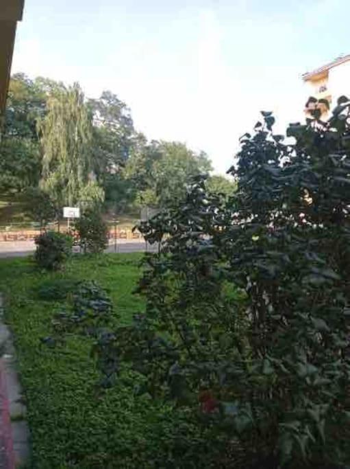 Apartament Centrum - B&B