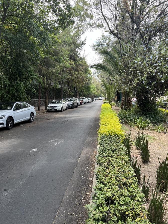 Polanco Prime Location Suites - Near USA Embassy & Citibanamex - B&B Mexico City