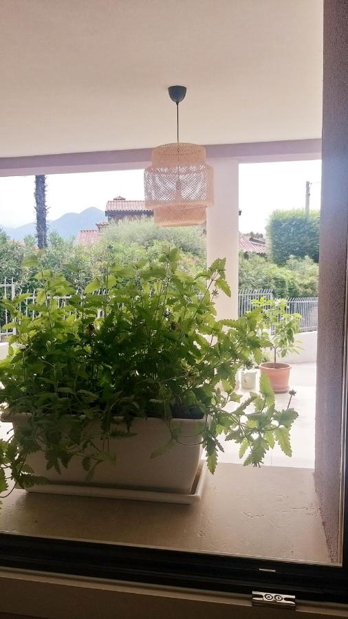 Casa Mavi - B&B Colombere