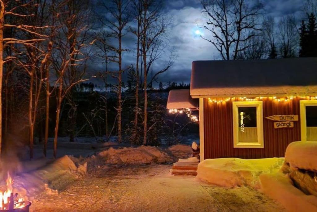 gemütliches Ferienhaus - Höga Kusten Region - Ferienwohnung