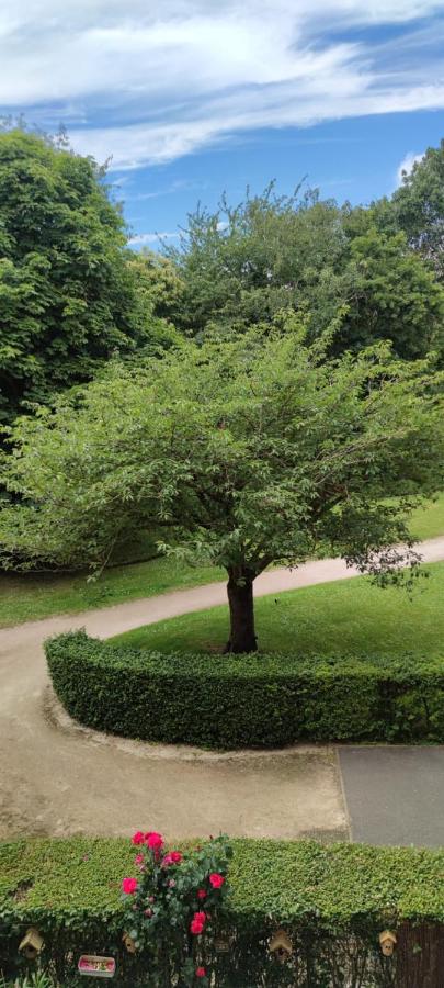 T3 COSY petit balcon 5mins France miniature - B&B