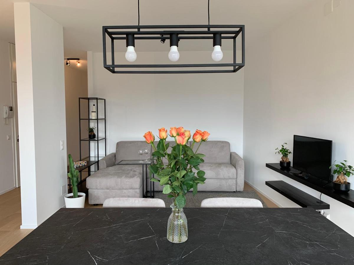 Deluxe One-Bedroom Apartment
