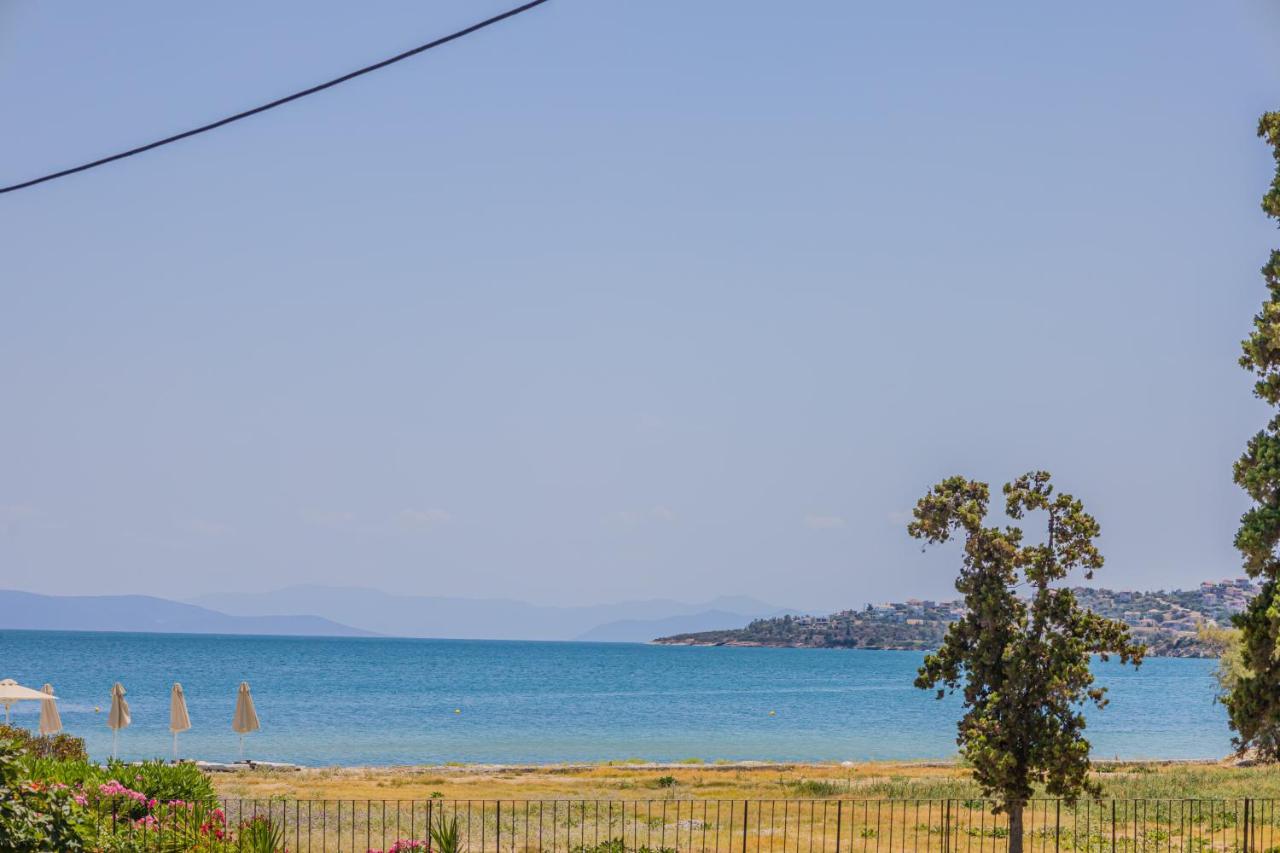 Amaze Place with a sea view by Salt Apartments - B&B Volos