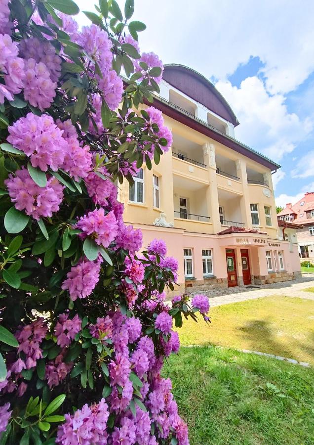Willa Storczyk Polanica Zdrój - B&B