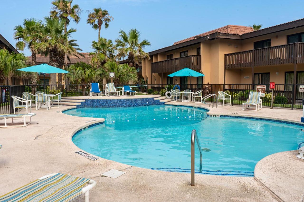 Seagulls Serenade Cozy 1BR Hideaway near Beach 206 - B&B South Padre Island