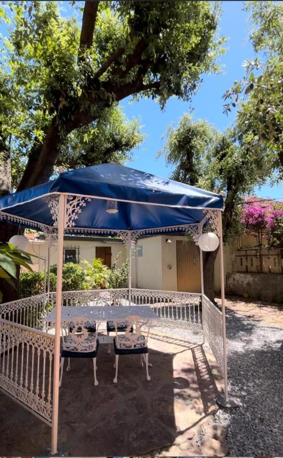 Villa Olga - B&B San Vincenzo