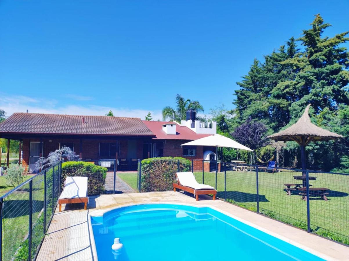Las palmeras - B&B