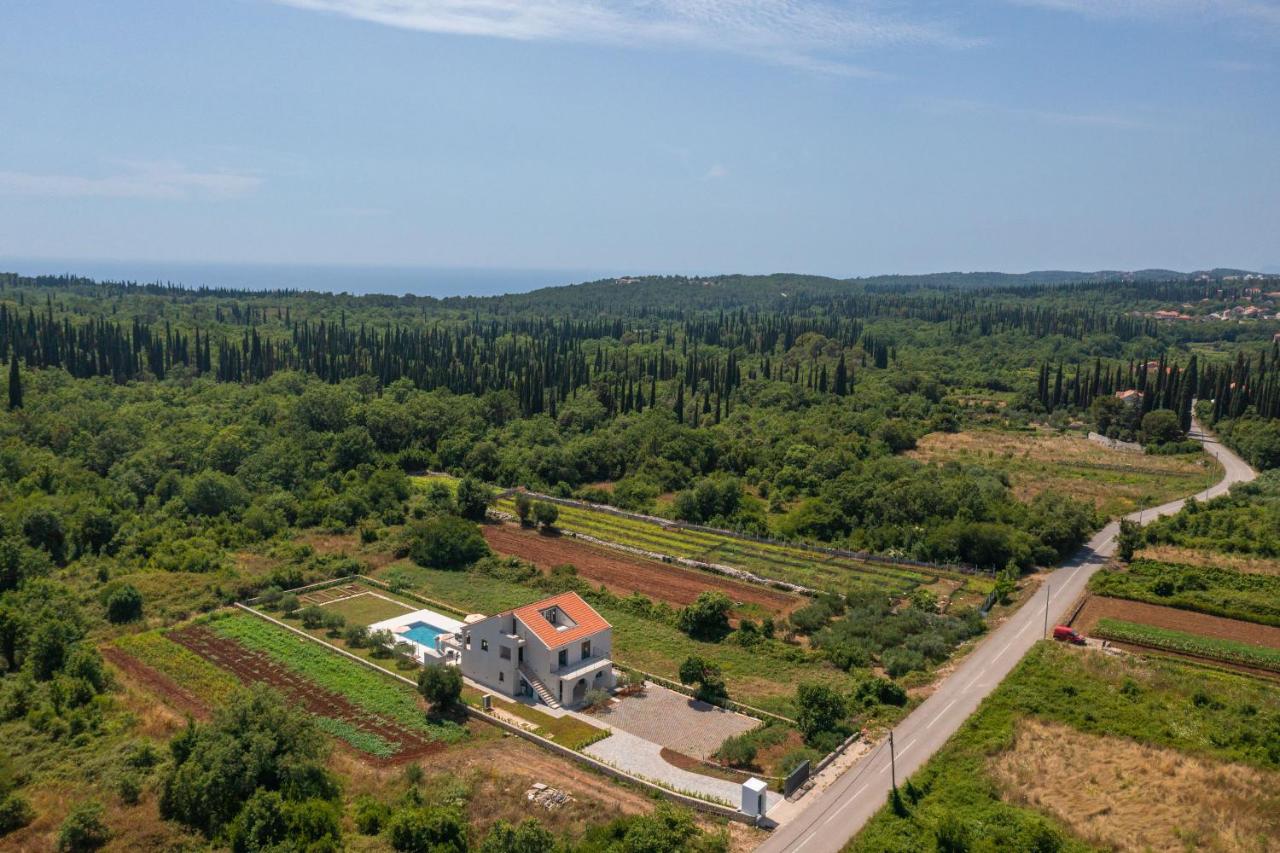 Green & Blue Five Bedroom Villa with Private Pool and Complete Privacy - B&B Čilipi