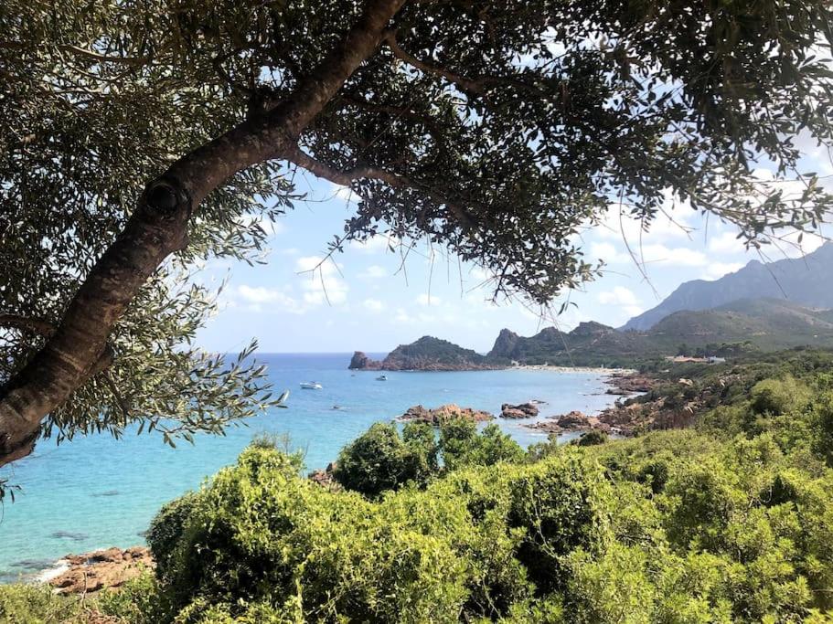 Appartamento Ogliastra - B&B