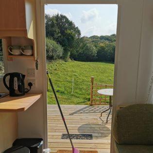 Meadow Bluebird - B&B Bodmin