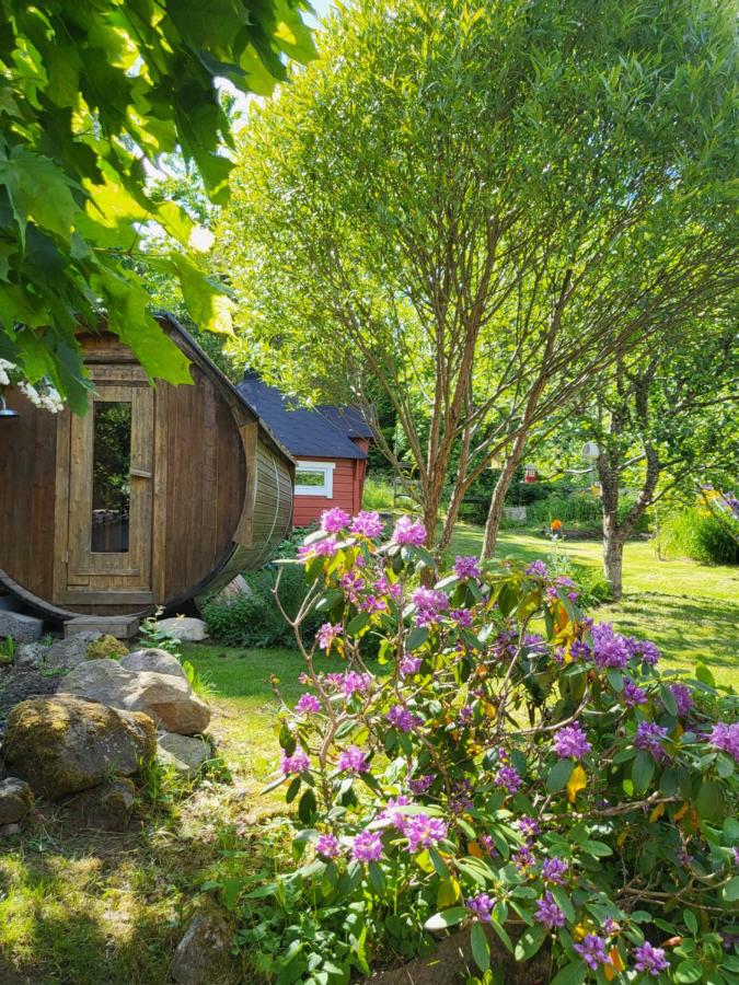 Villa Helena - B&B Virserum