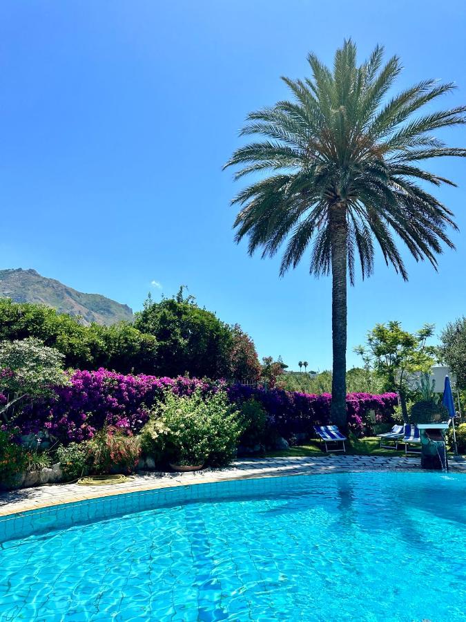 Casa Mimosa - Ferienwohnung Ischia