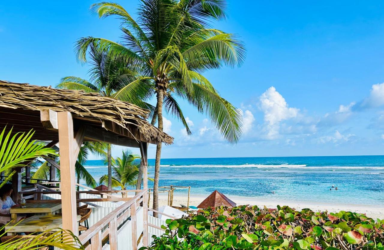 Vue Exclusive Mer et Volcan, Village Vacances avec Plage et Piscine, Les Gwadastudios - B&B