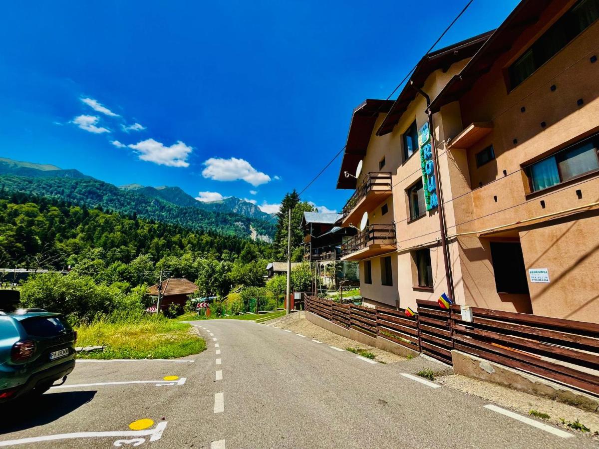 Pensiunea Roua - Ferienwohnung Sinaia