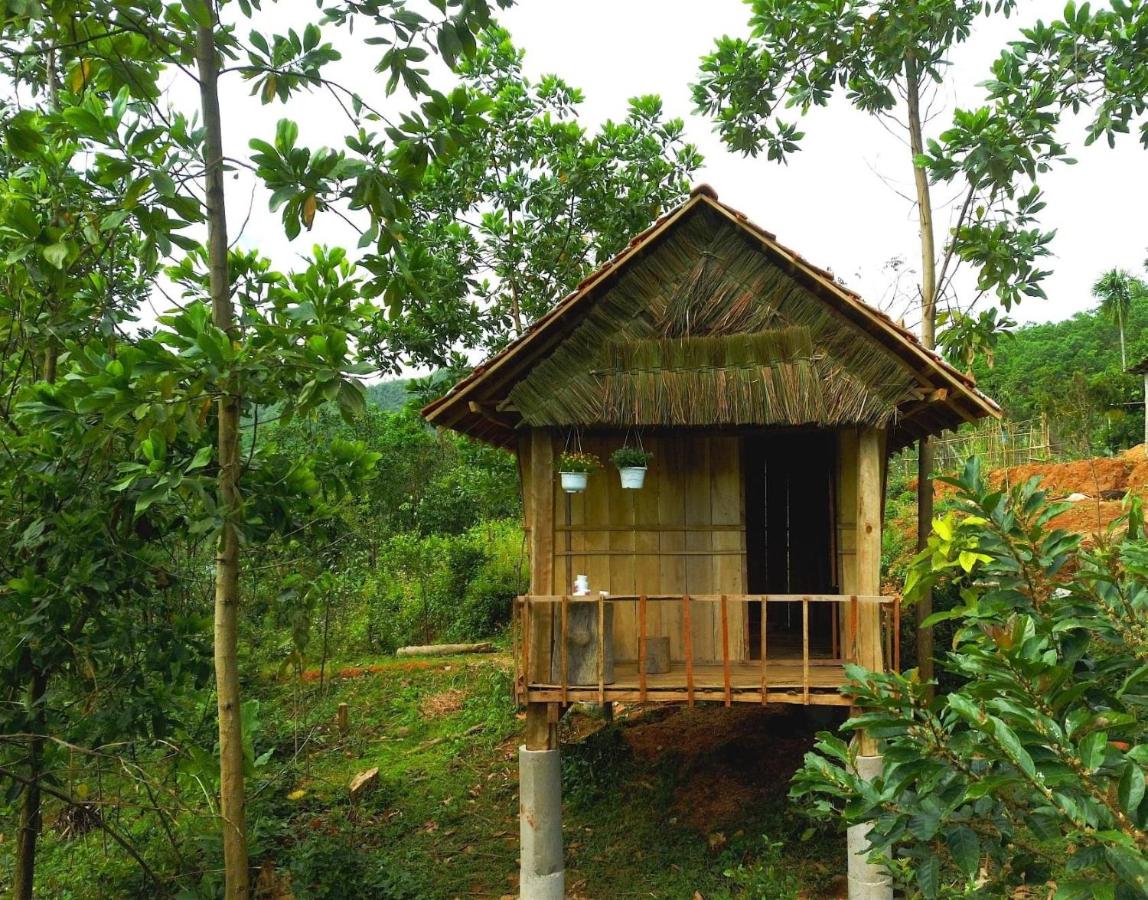 Dak Drinh Lodge - B&B
