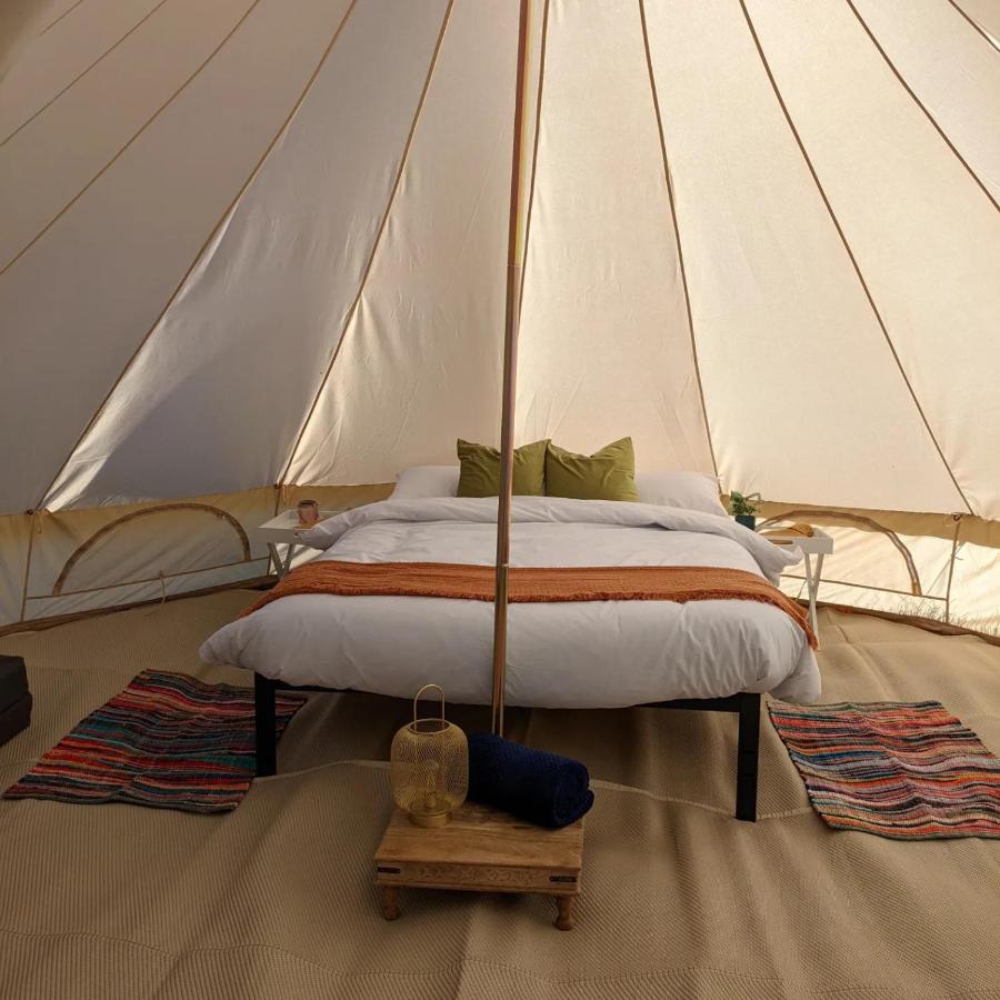 Fallow Fields Camping, Selson Farm - B&B