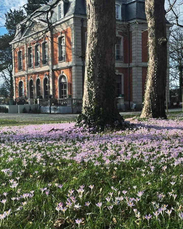 Le Petit Château Peltzer - B&B