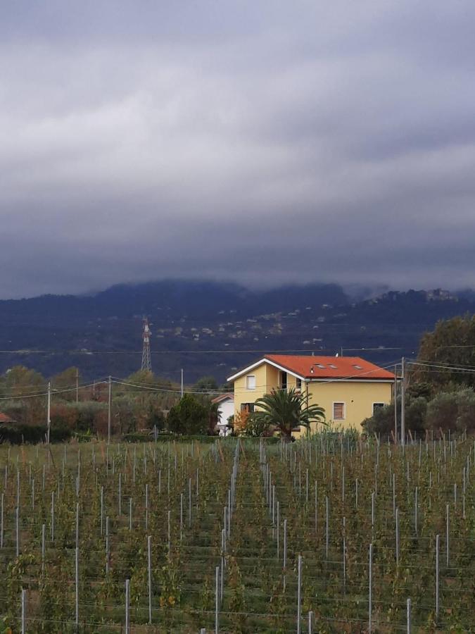 La Macchia - B&B