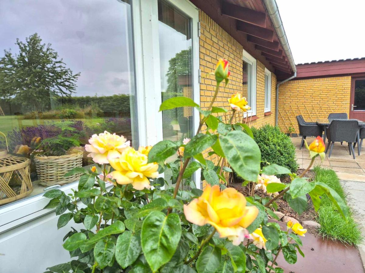 Apartment in Denmark - Hygge Villa - B&B Otterup